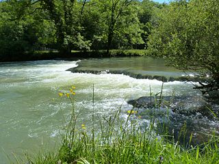 Nassi sur le Cusancin en aval de Pont-les-Moulins.