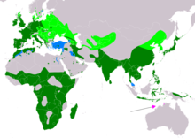 alt=Global range   breeding   resident   non-breeding   vagrant (seasonality uncertain)