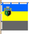 Drapeau de Ternivka