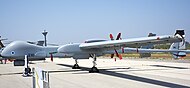 An IAI Eitan UAV of 210 Squadron "White Eagle" from Tel Nof