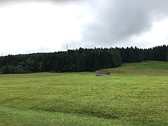 Schuppen im Hochmoor von Gais AR, September 2017