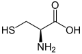 L-Cysteine (Cys / C)