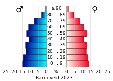 Bevolkingspiramide van de gemeente Barneveld
