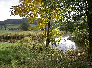 Zusammenfluss der Böhmischen (links) und der Bayerischen (rechts) Schwarzach zur Schwarzach bei Kritzenast