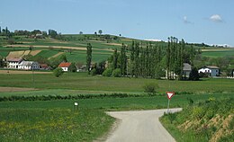 Rogašovci – Veduta