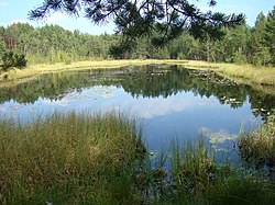 Lake in Dobrovsky District