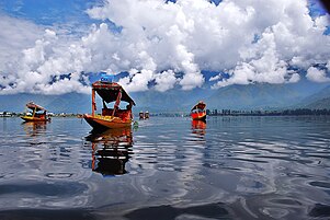 Shikaras on Dal Lake