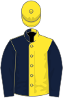 Dark blue and yellow (halved), dark blue sleeves, yellow cap