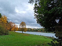 Ostufer am Twistestausee