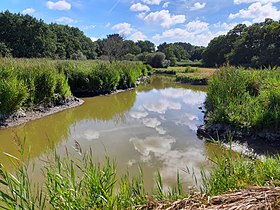 Image illustrative de l’article Marais de Pompas