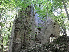 Ruines du château de Vaite.