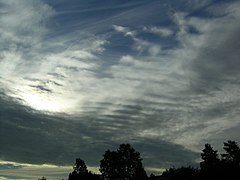 Altostratus undulatus