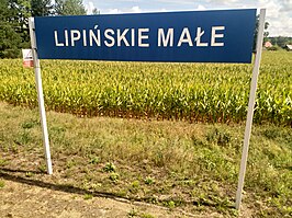 Station Lipińskie Małe