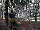 Cabins at Hontoon Island State Park