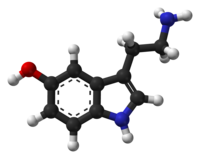 Ball-and-stick model of the serotonin molecule