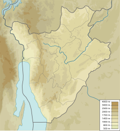 Cizanye River is located in Burundi