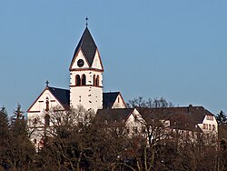 Skyline of Kelkheim