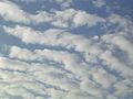 Stratocumulus lenticularis