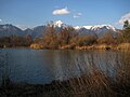 Bobovška jezera, jezero Krokodilnica