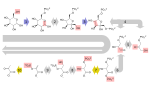 Thumbnail for Glycolysis