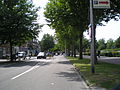 Blauwkapelseweg met rechts het Griftpark en links de Griftstraat.