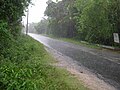 Pluie tropicale à Bohol