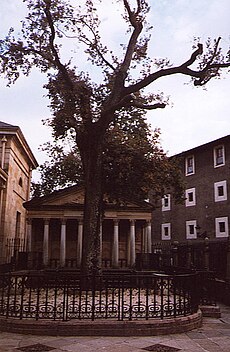 L'arbol de Gernika