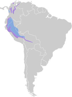 Distribución geográfica del semillero negriblanco.