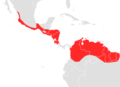 Aire de répartition de Choeroniscus godmani