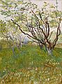 Cherry Tree, (1888)