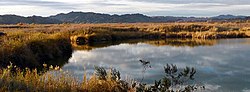 Vignette pour Imperial National Wildlife Refuge