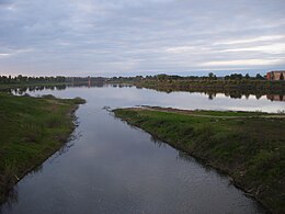 Laucesas ieteka Daugavā