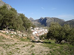 Benaojan (Málaga)