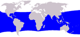 Aire de répartition du Rorqual de Bryde