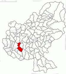 Location in Mureș County