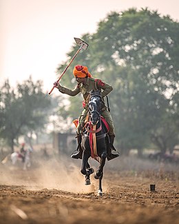 Tentpegging Marwari