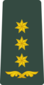 Georgia (პოლკოვნიკი, polkovnik)