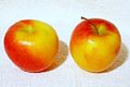 Jazz apples are somewhat variable in shape