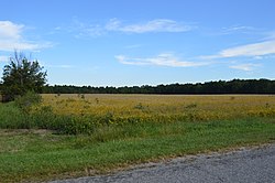 Fields along Veley Road