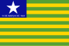 Flag of Pjaui