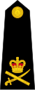 Lieutenant General