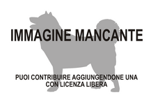 Immagine di Colbertia mancante