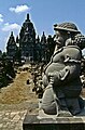 Candi Sewu (buddhistisch) mit Dvarapala