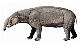 Астрапотерій (Astrapotherium)