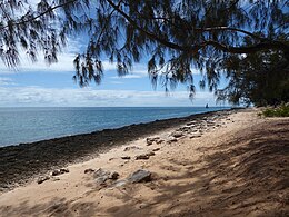 A beach scene on Bazaruto, with trees sheltering sands separated from the water by a line of rocks.