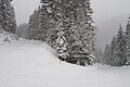 Ramsau am Dachstein zimą