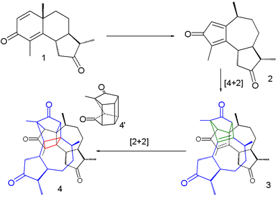 Santonin Photochemical reaction.