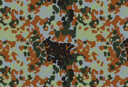 Բելգիական Flecktarn