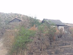 Residential houses in the town, 2011