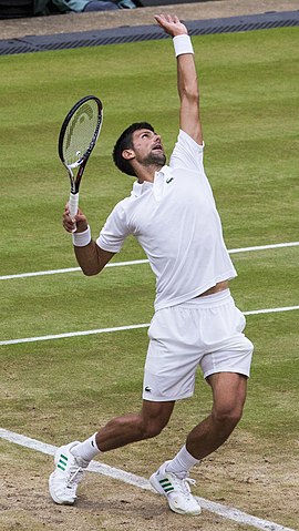 Novak Djoković ve Wimbledonu 2017